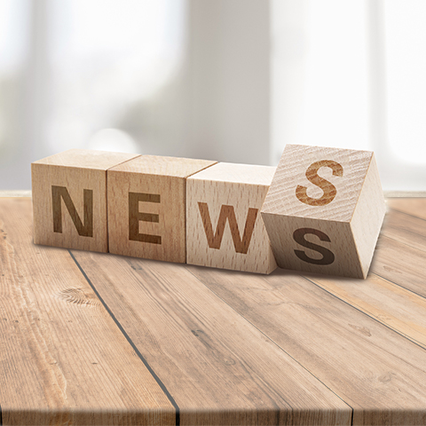 常見的撕碎機有哪些類型？